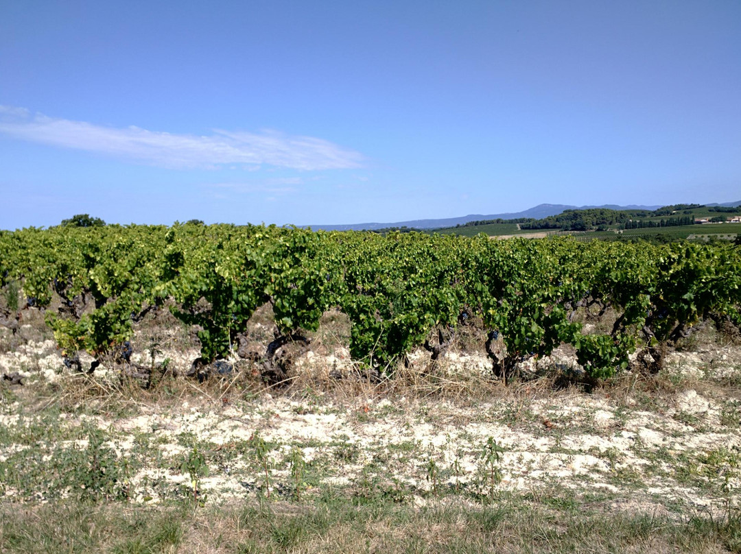 Domaine La Gontarde景点图片