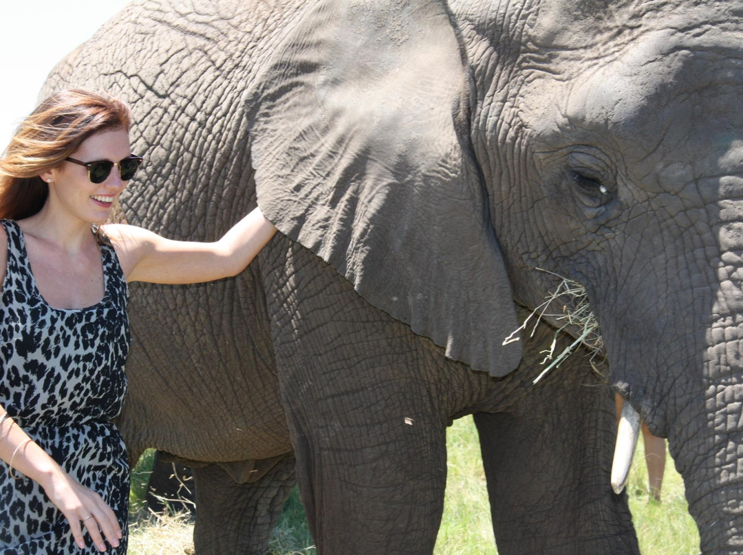 Charlo's Tours and Transfers-开普敦中心区必去景点