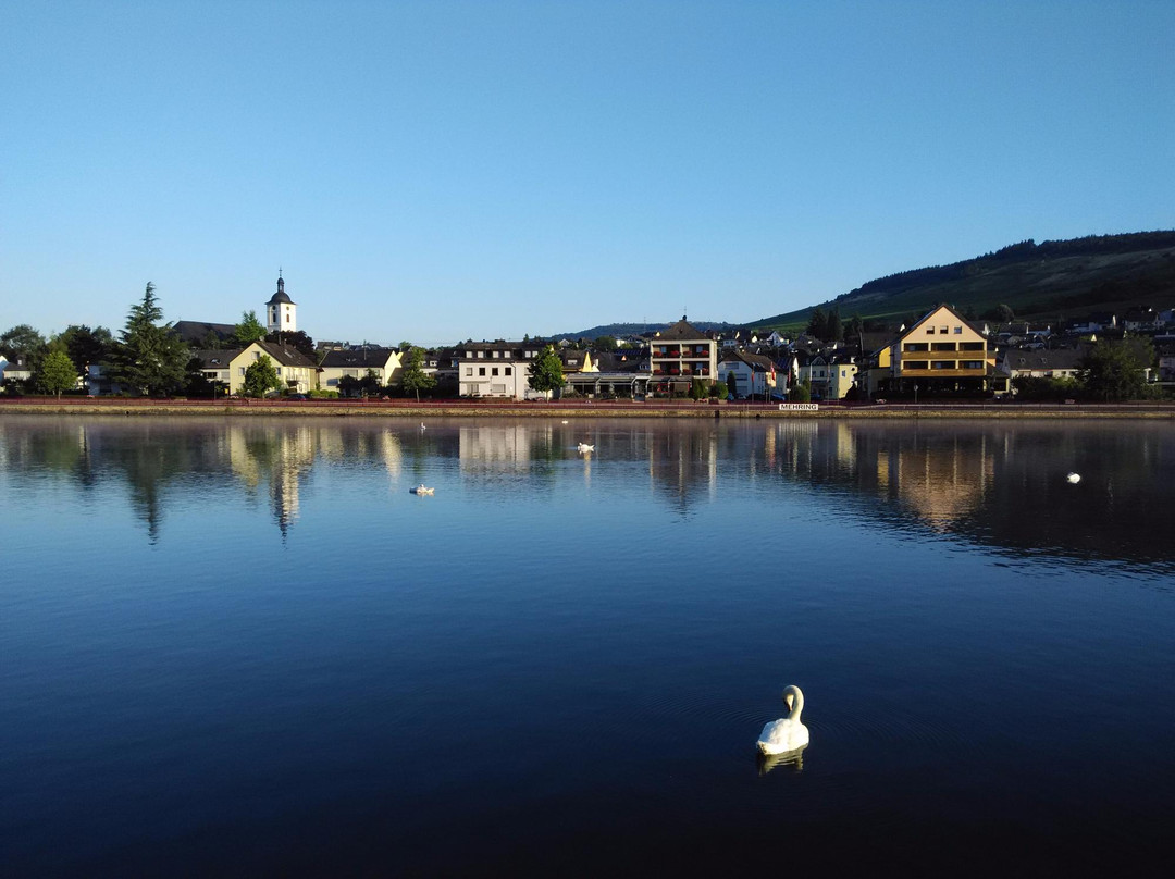 Hotel Zum Fahrturm主图