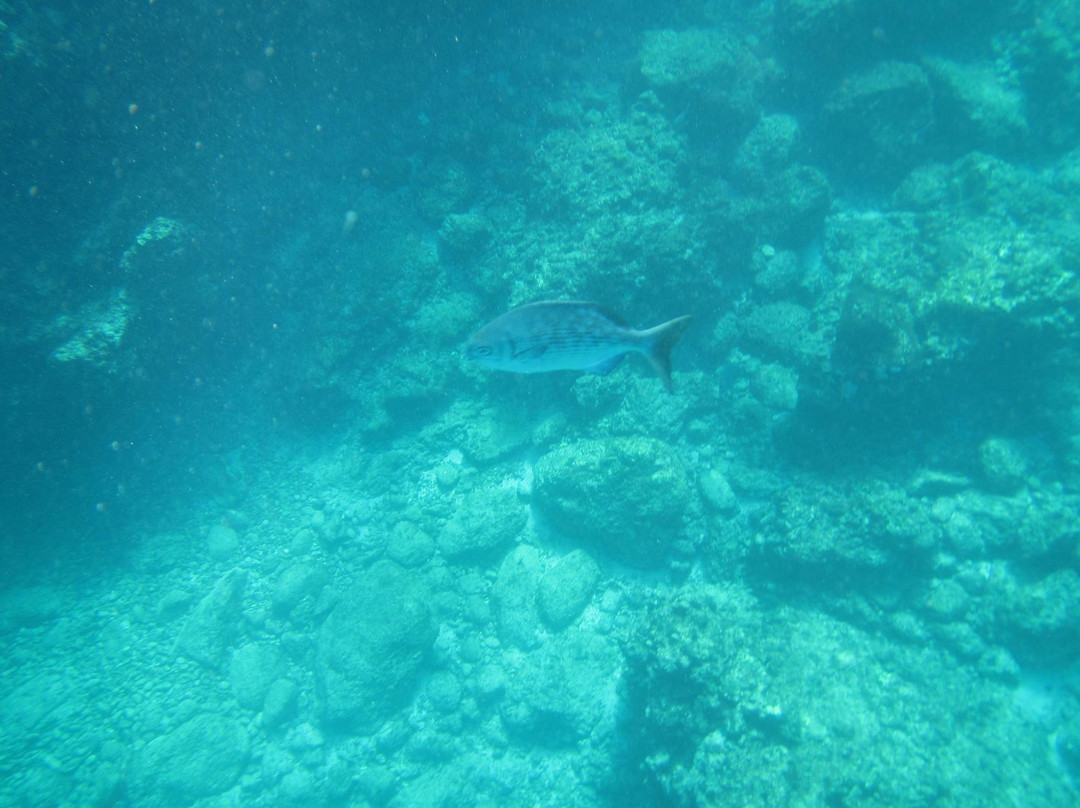 Punta Mita Charters-蓬塔米塔必去景点