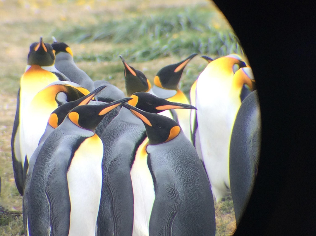 La Oveja Perdida Tour Company · Cafe-Porvenir必去景点