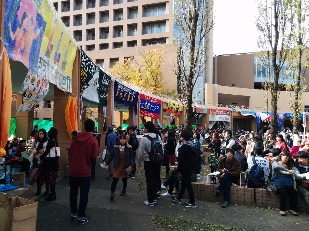 Tokyo University of Foreign Studies-府中市必去景点