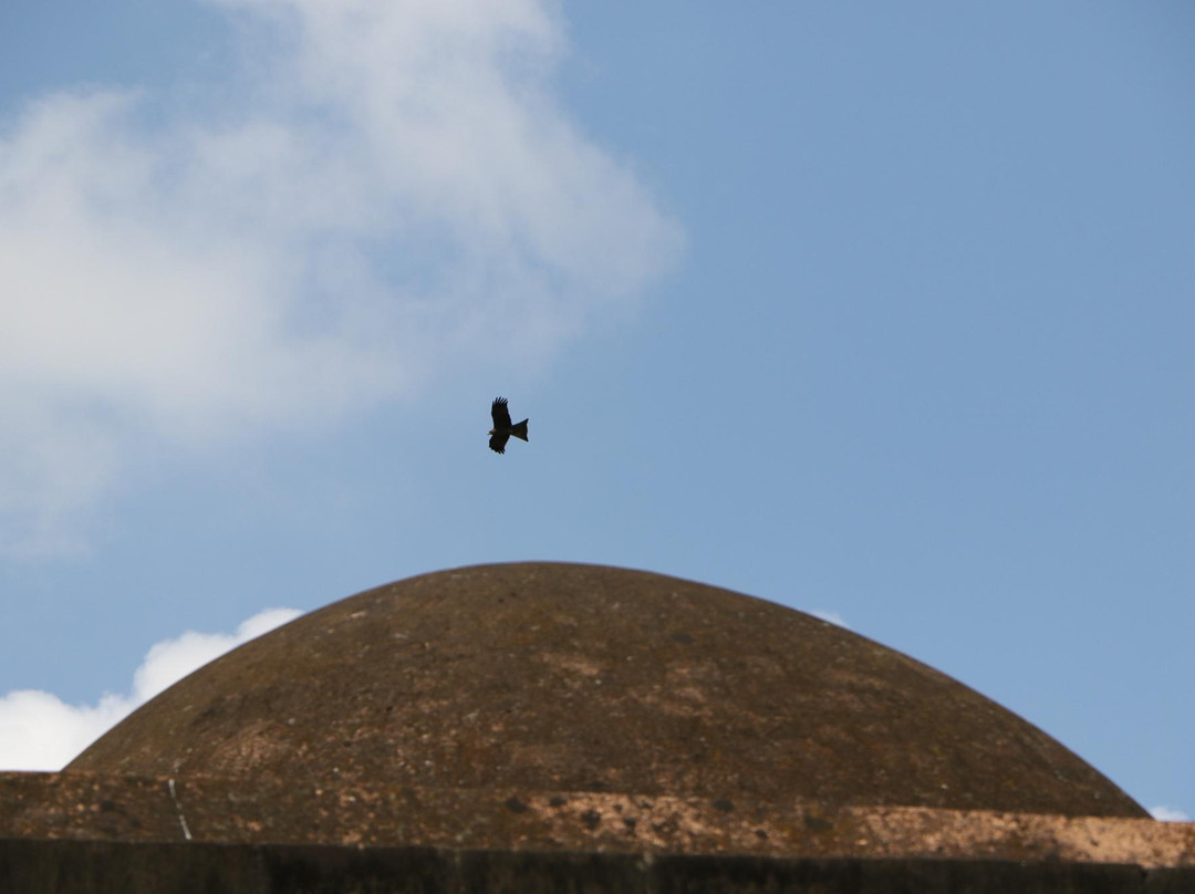 Baroduari Mosque景点图片