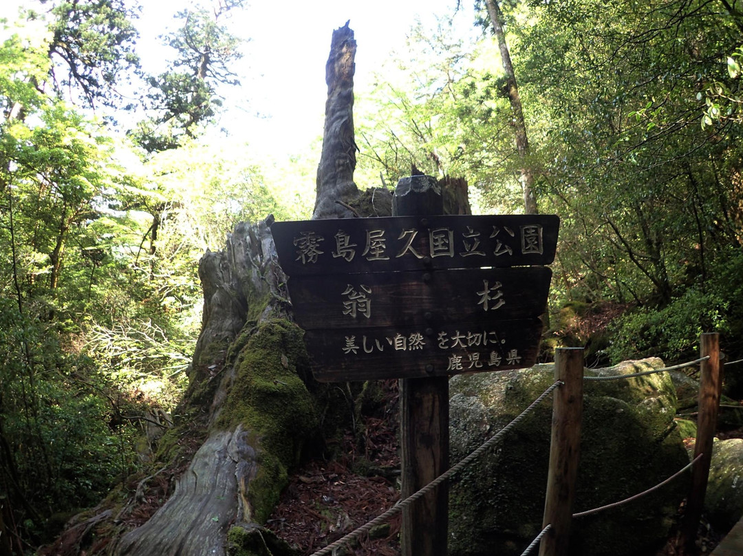 Okinasugi景点图片