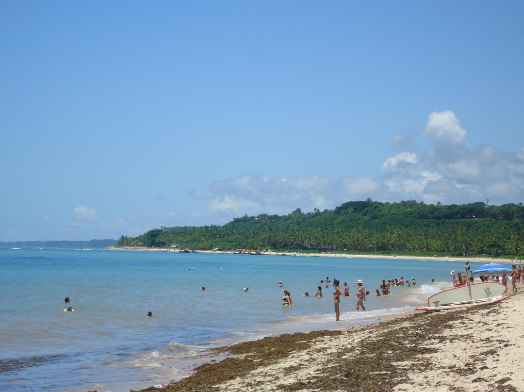 Aracaipe Beach景点图片