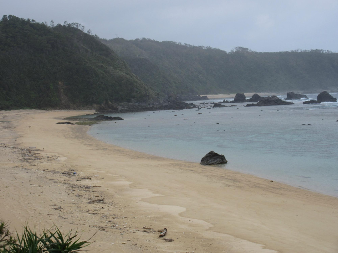 Adan Beach景点图片