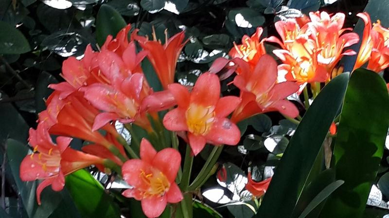 Pledge Nature Reserve-克尼斯纳必去景点