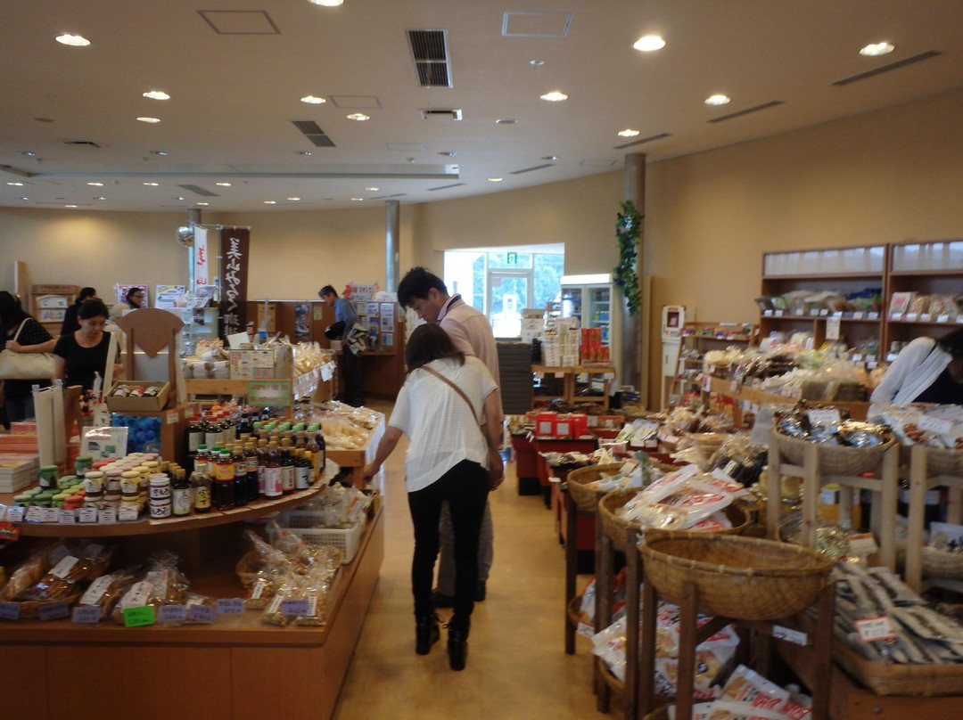 Michi-no-Eki Kyoto Shinkoetsumura-南丹市必去景点