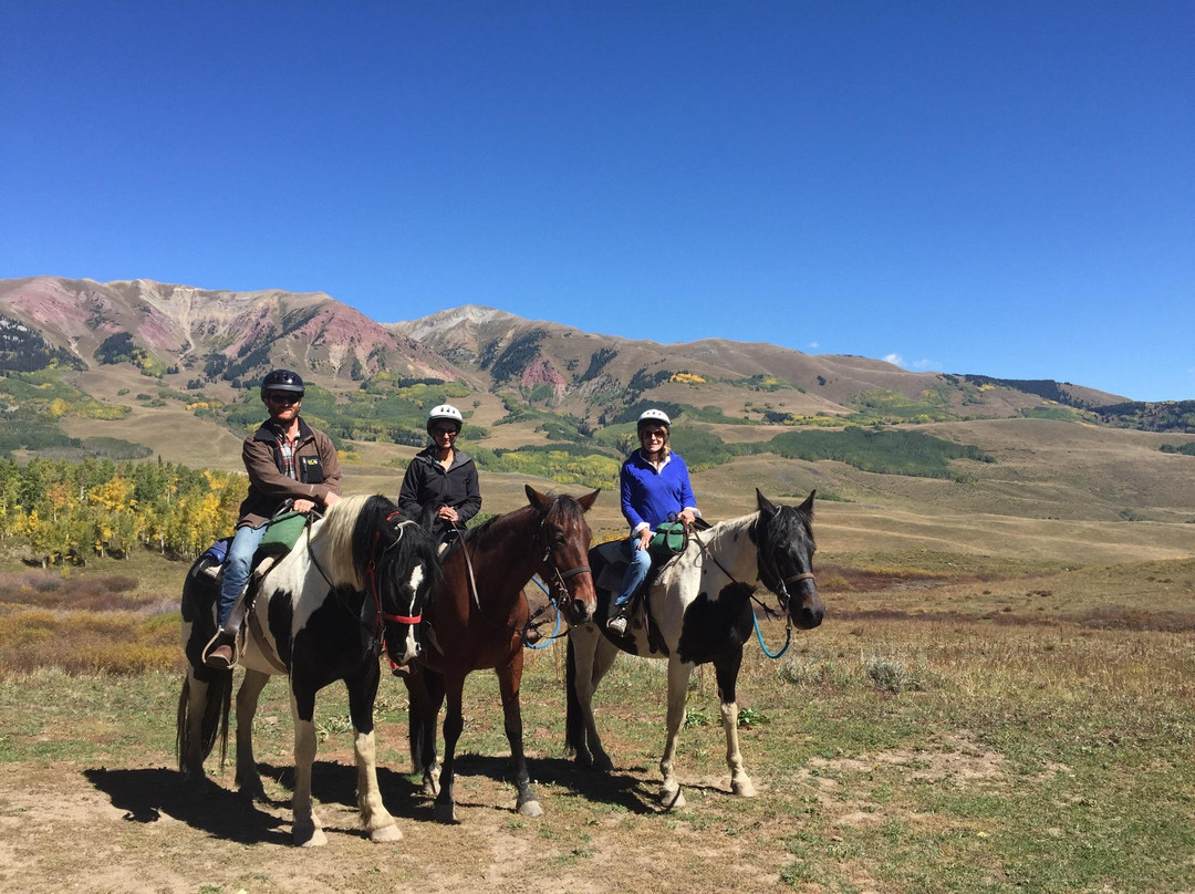 Fantasy Ranch Outfitters-克雷斯特德比特必去景点