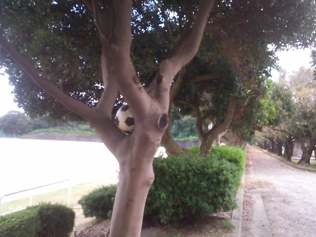 Oso Park-常滑市必去景点