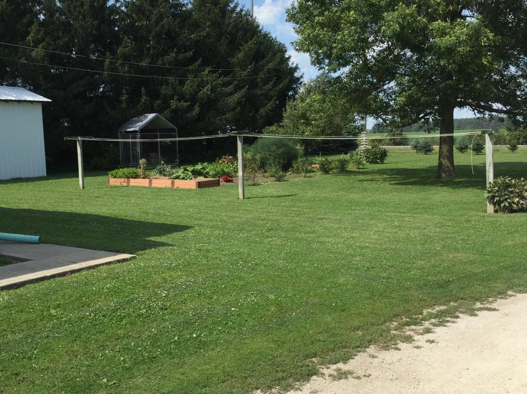 R & M Amish Tours-Lanesboro必去景点