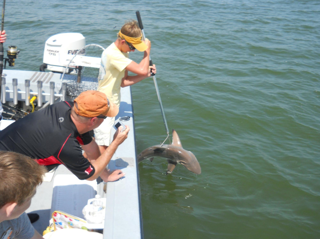 Reel Attraction Charters-格尔夫海岸必去景点
