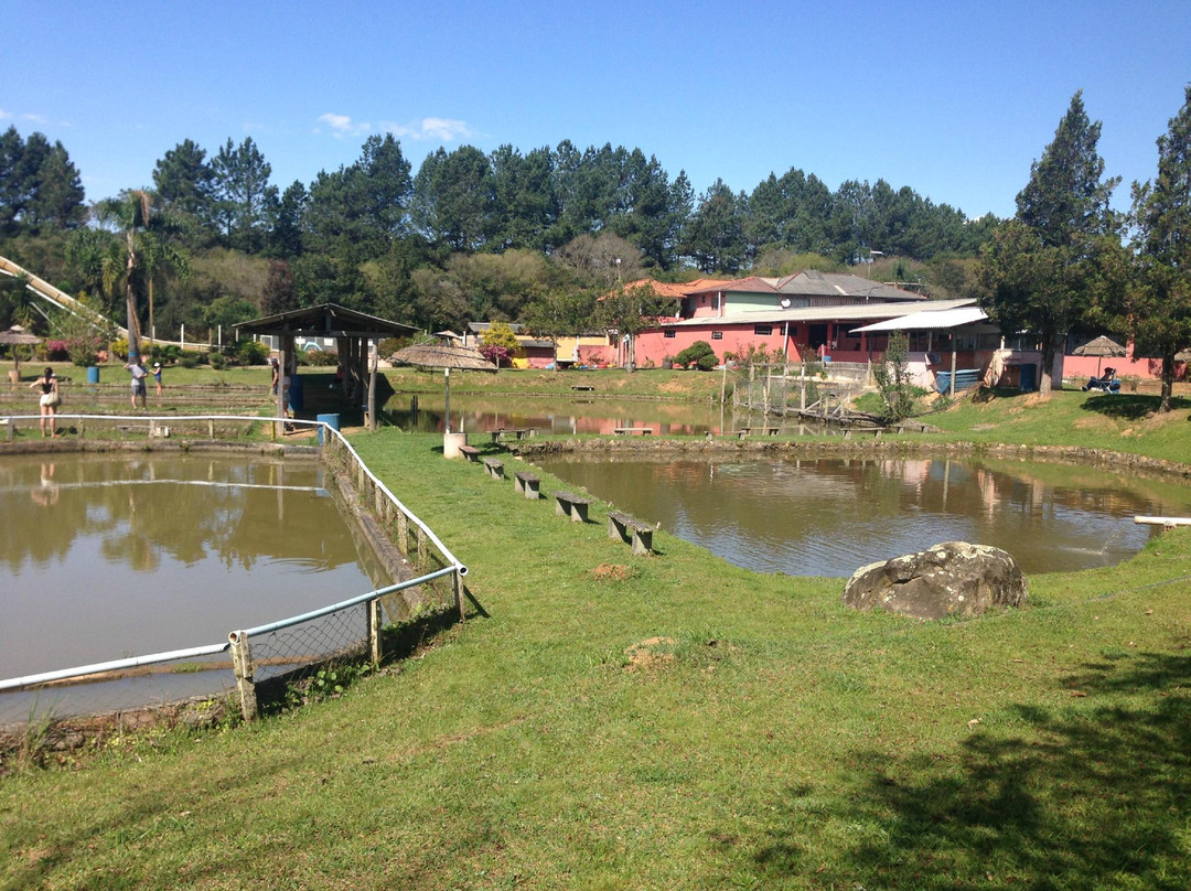 Park Novo Oriente景点图片