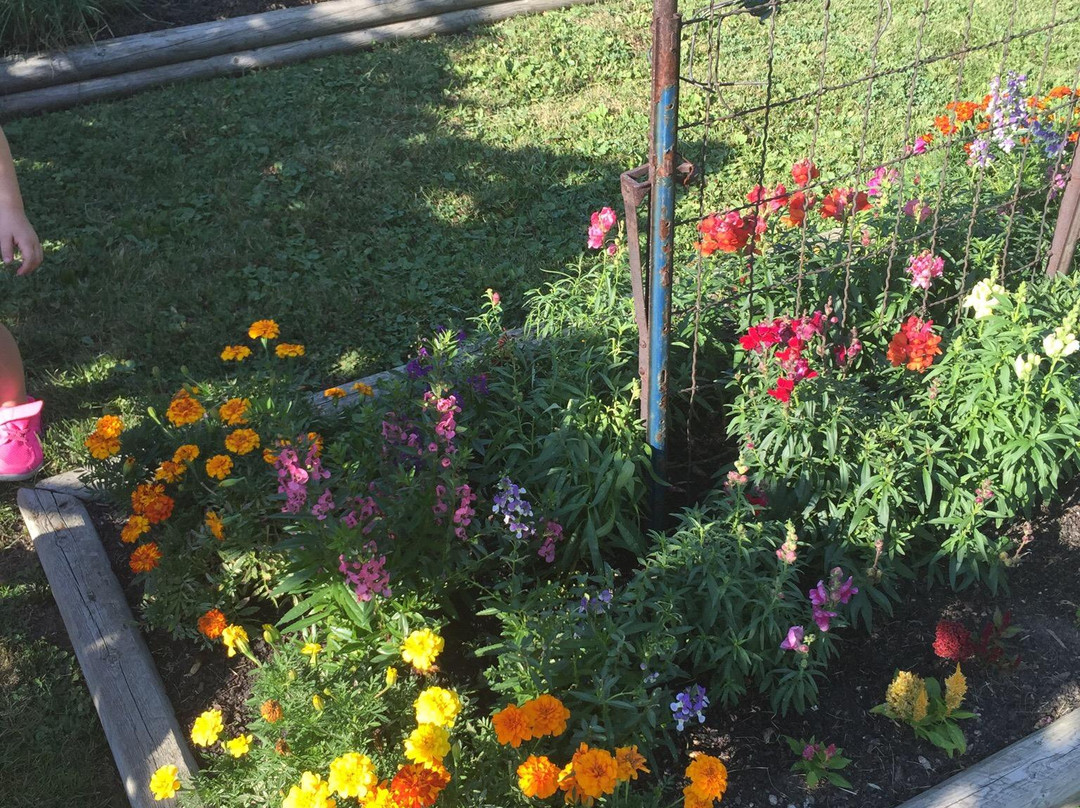 AepelTreow Winery & Distillery-Burlington必去景点