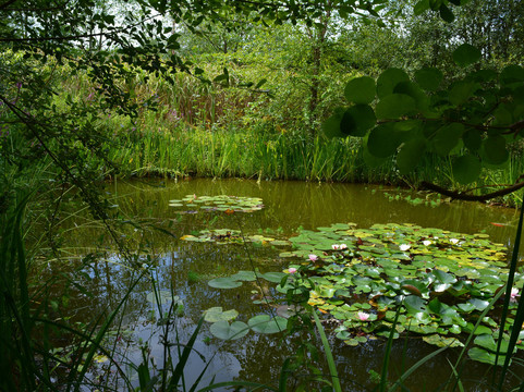 Domaine de Chaumont-sur-Loire-Chaumont-sur-Loire必去景点