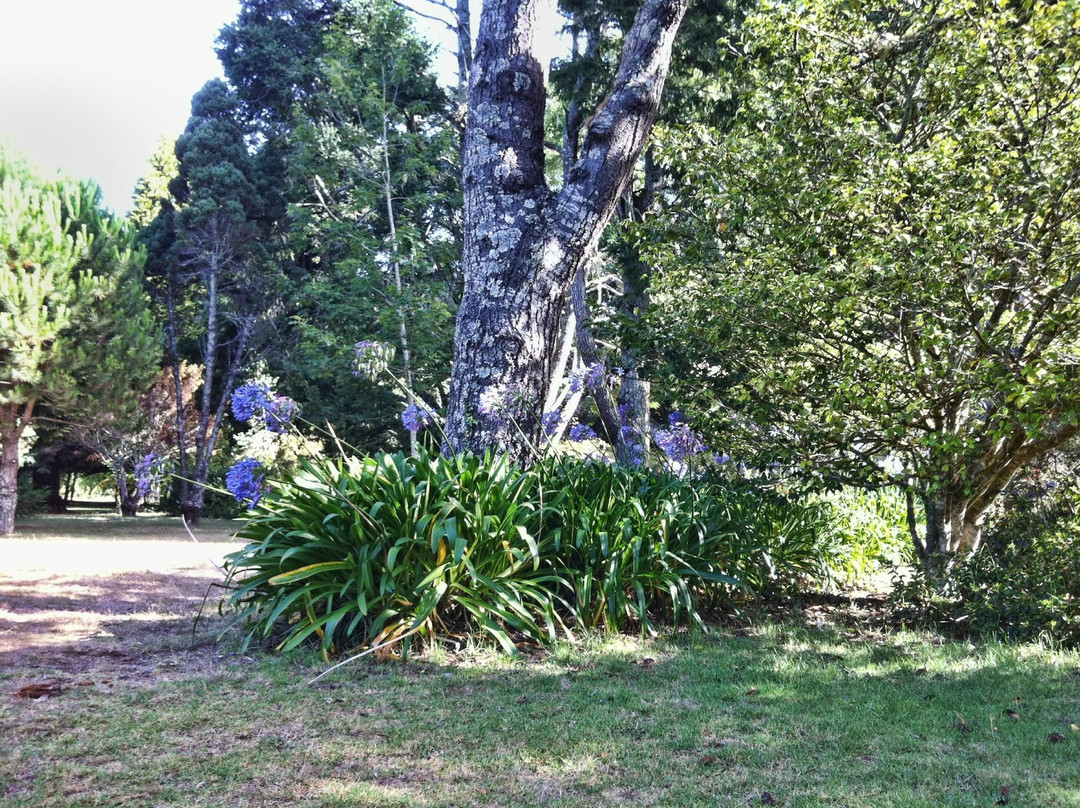 Quinta da Junta Garden-Santo Antonio da Serra必去景点