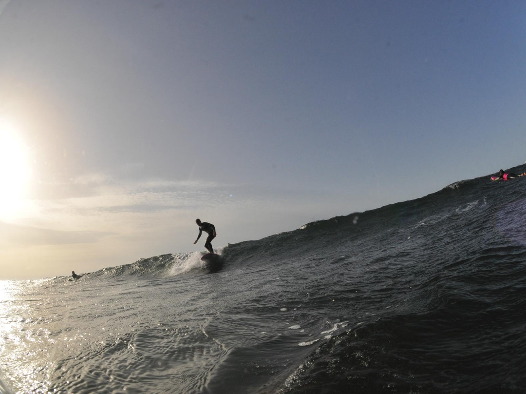 Green Wave Surf School-Punta del Hidalgo必去景点
