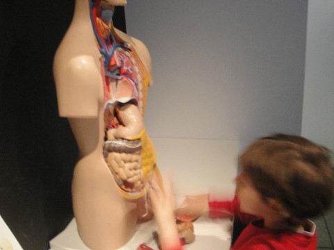 The National Sports Museum-斯德哥尔摩必去景点