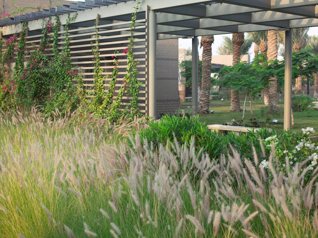 Prince Saud Bin Naif Park-Dhahran必去景点