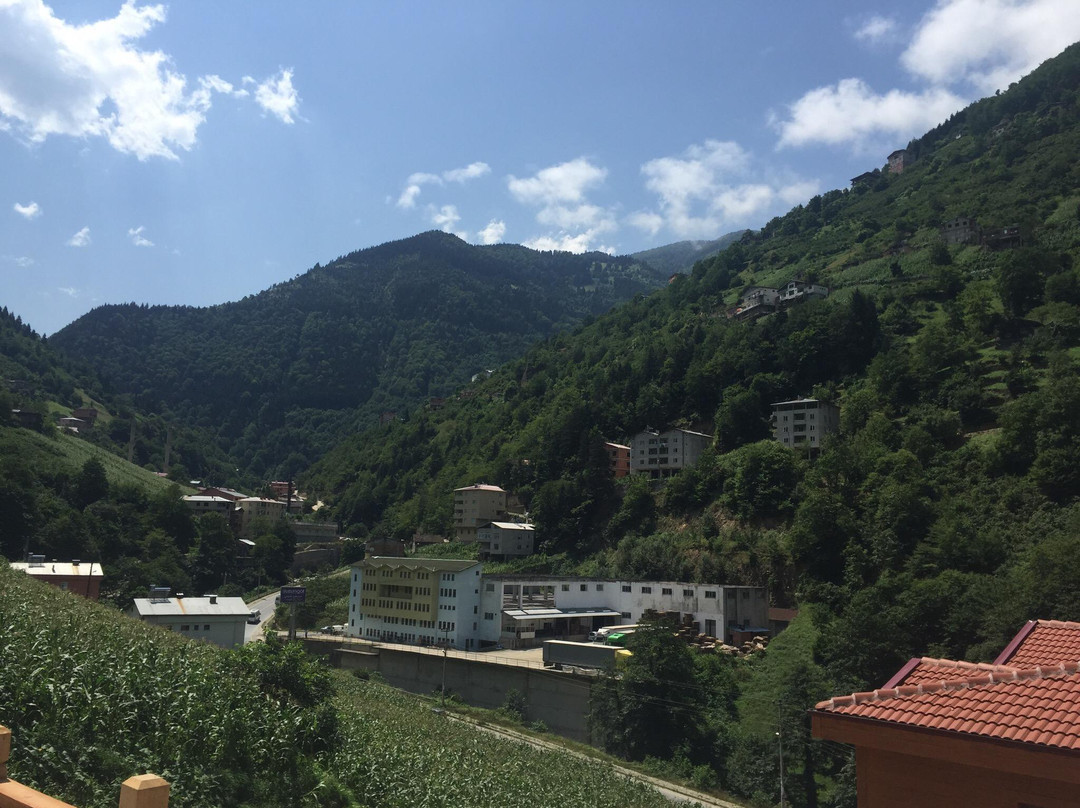 Uzungol Taskiran Ela Hotel主图