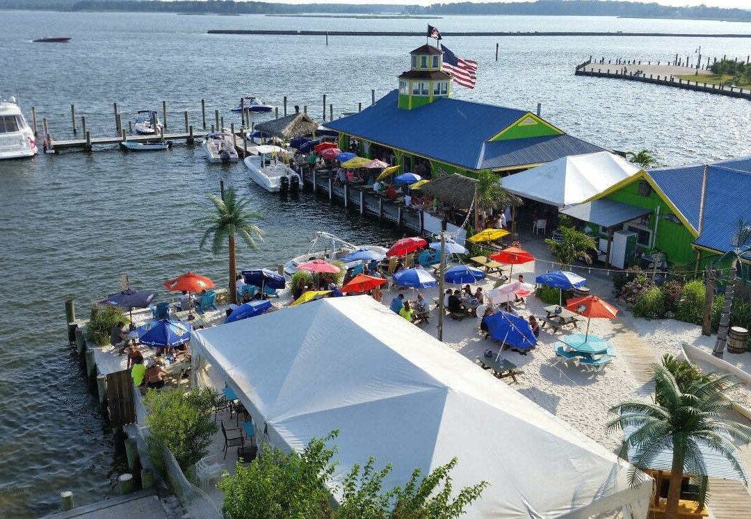 Jetty Dock Bar景点图片