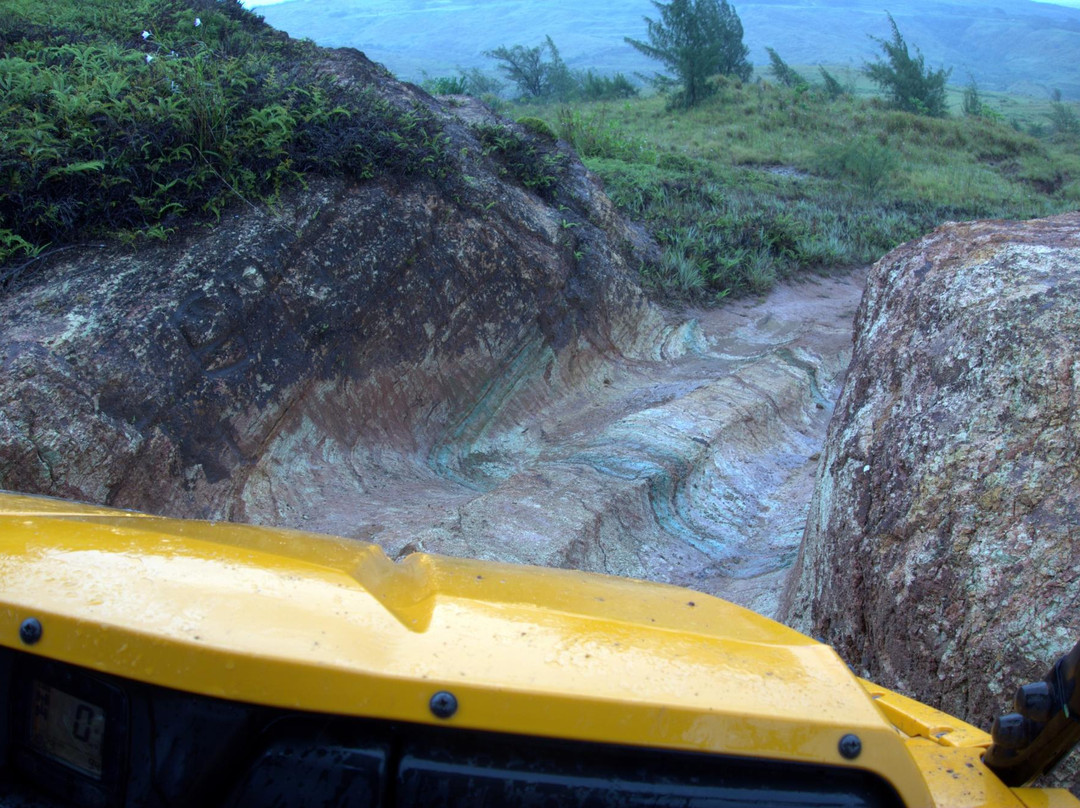 Jungle Rules Adventure Tours-Santa Rita必去景点