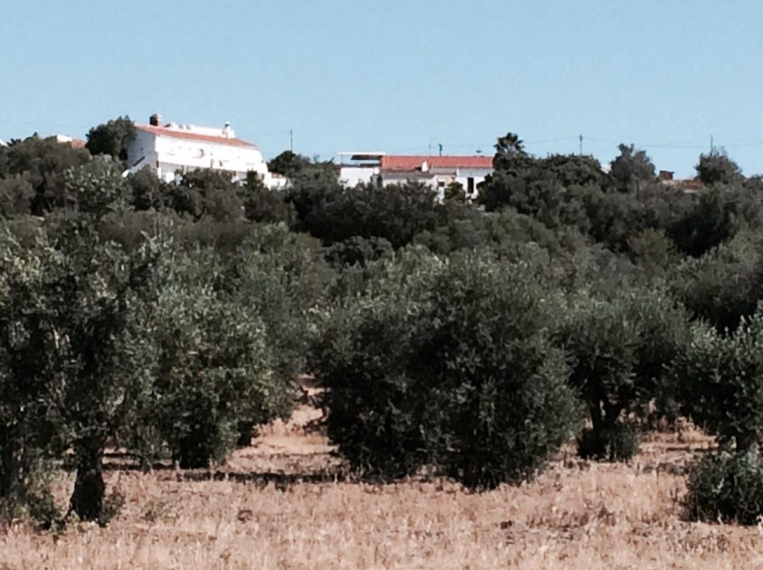 Quinta Sao Jorge主图