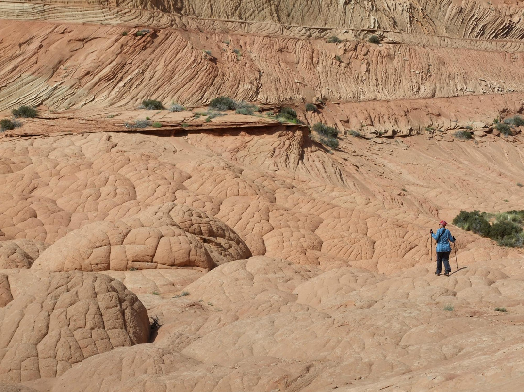 Edmaiers Secret-比格沃特必去景点