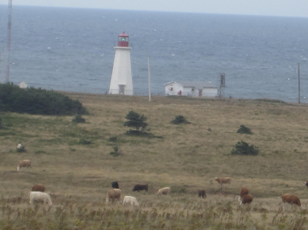 Enragee Point Lighthouse-Cheticamp必去景点