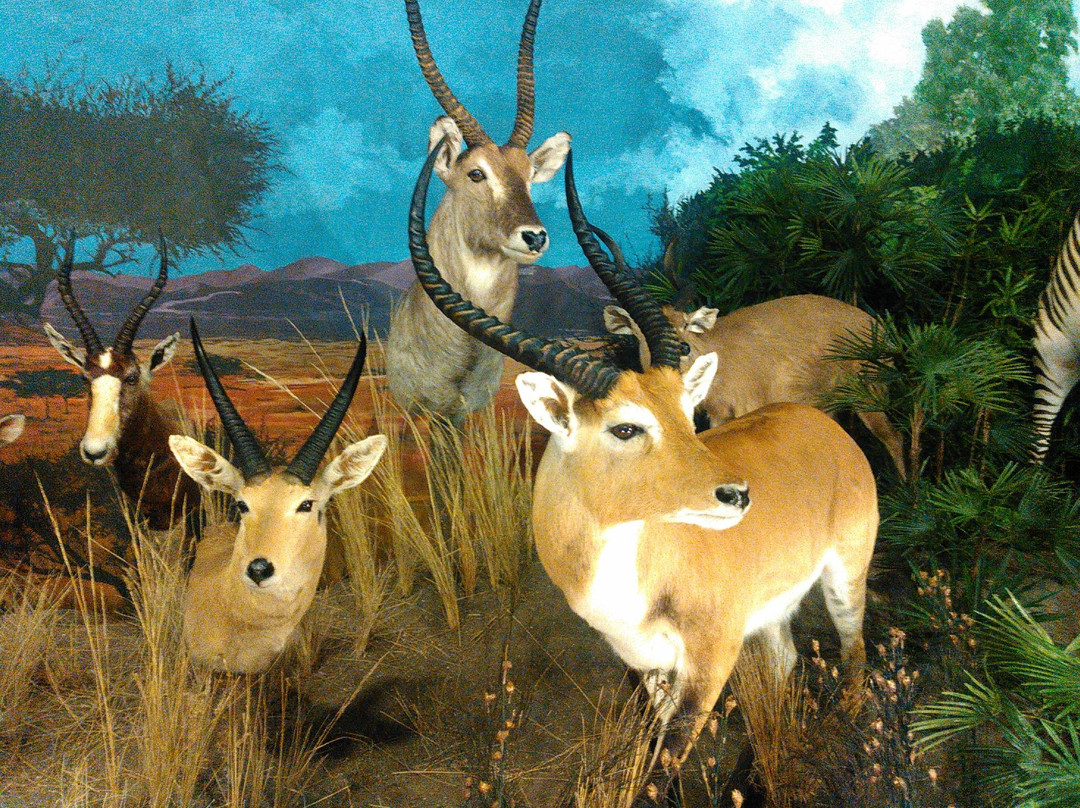 桑德地区拓荒者村博物馆-桑德必去景点