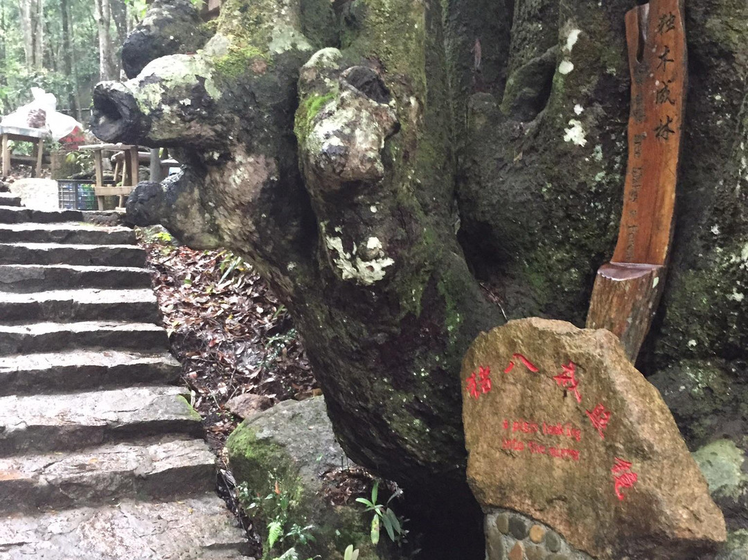 龙川大峡谷景点图片