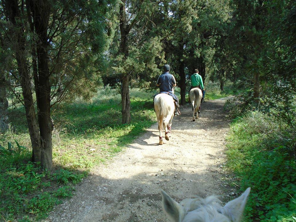 Arena horse riding corfu-Perithia必去景点