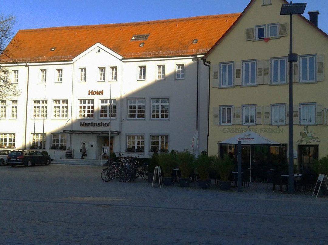 Hotel Martinshof主图