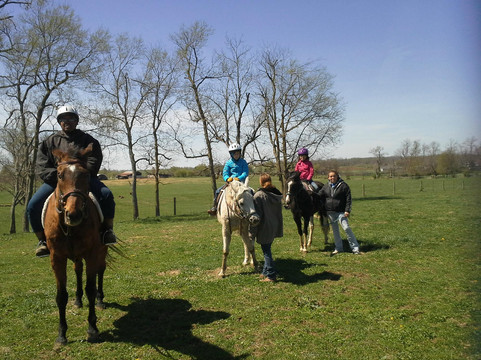 Sunburst Horsemanship School-列克星敦必去景点