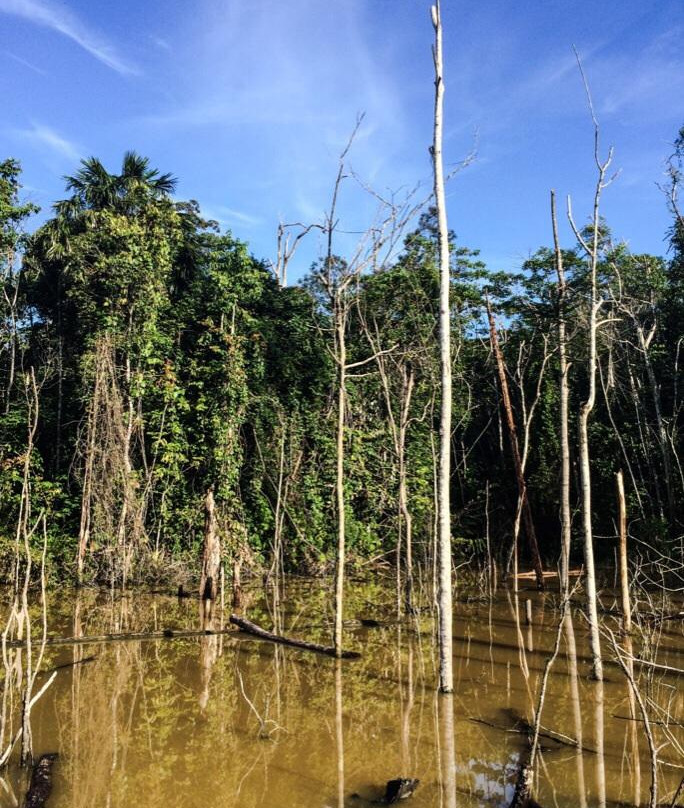 Balikpapan Botanical Garden-巴厘巴板必去景点
