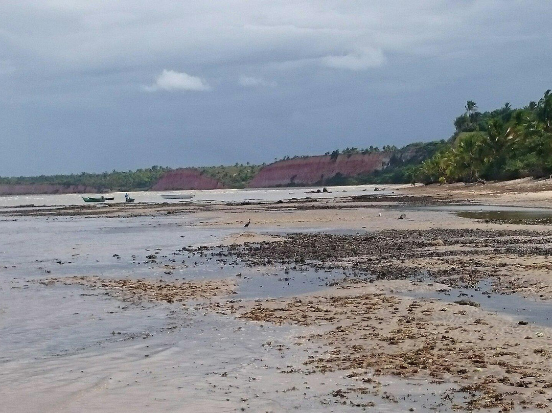 Areia Preta Beach-Cumuruxatiba必去景点