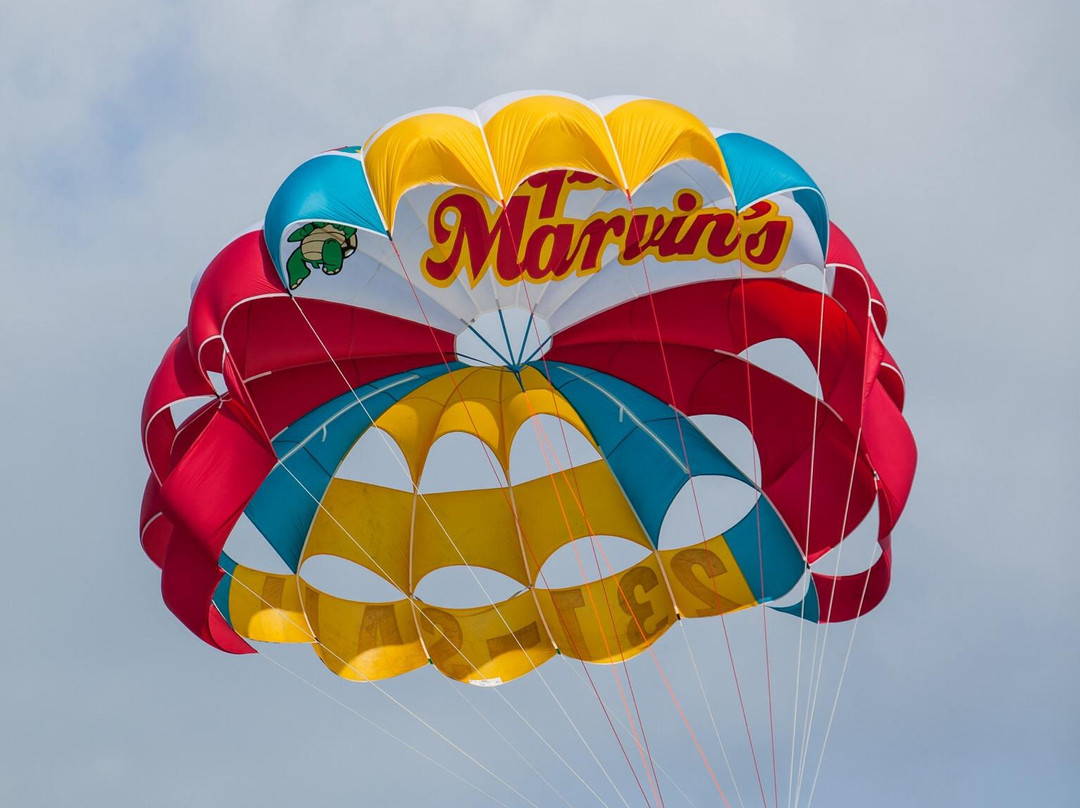 Captain Marvin's Watersports Ltd.-普罗维登西亚莱斯必去景点