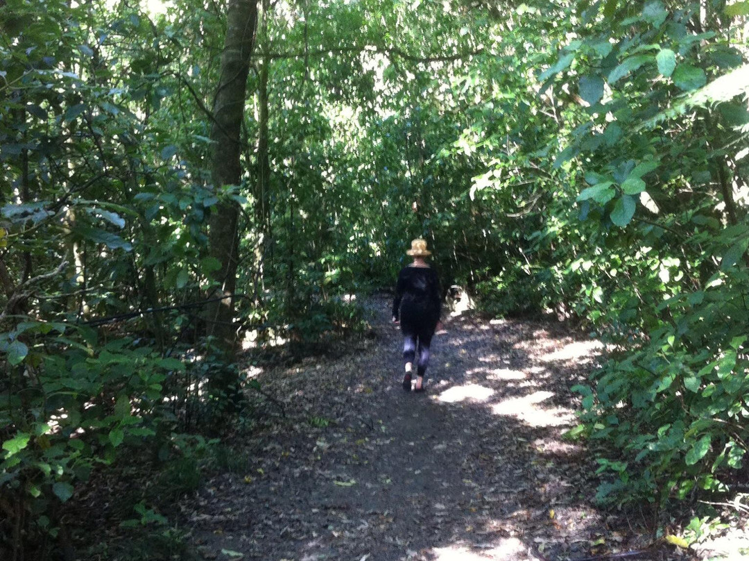 蓝湖-罗托鲁瓦必去景点