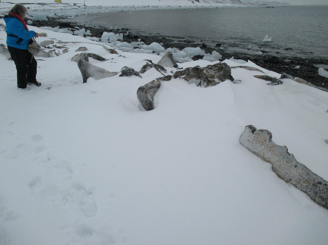 Arctowski Polish Antarctic Station-King George Island必去景点