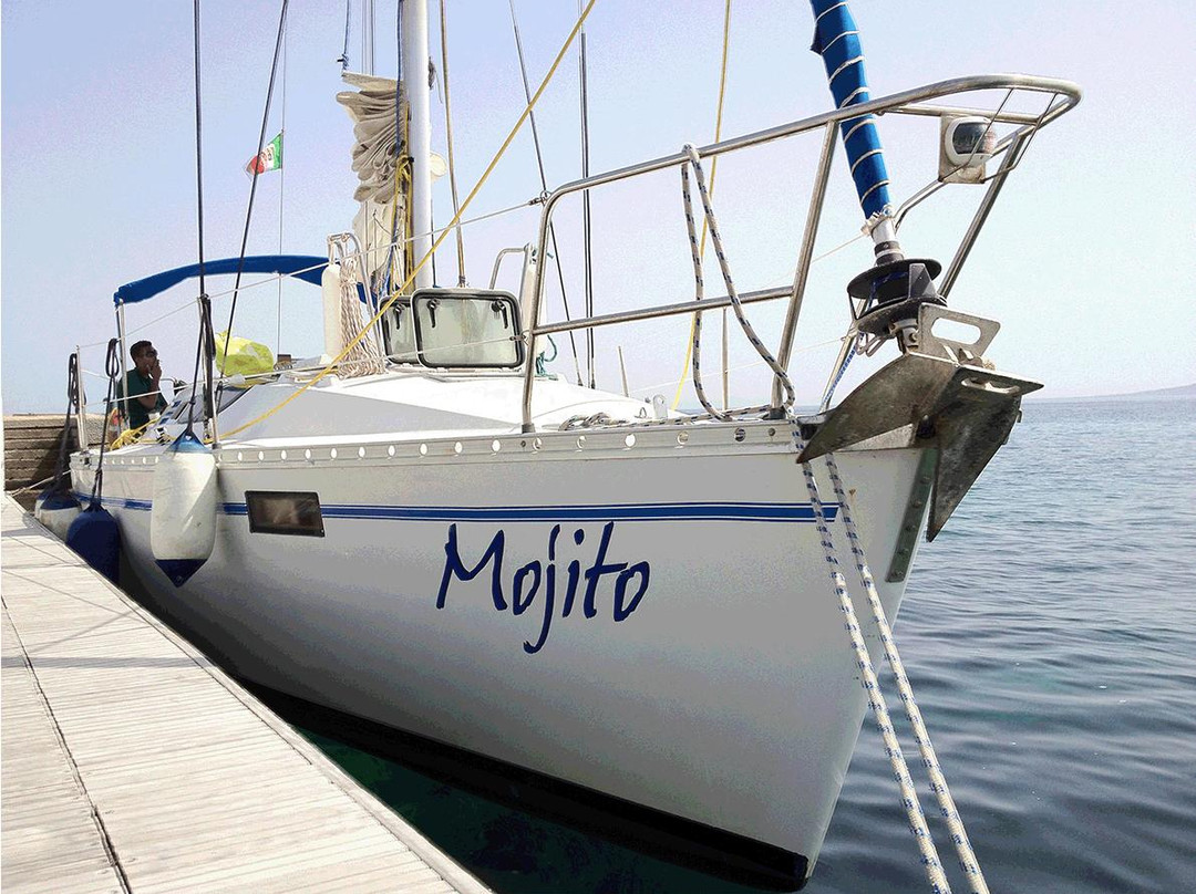 Asinara Sailing - Day Tour-斯廷蒂诺必去景点