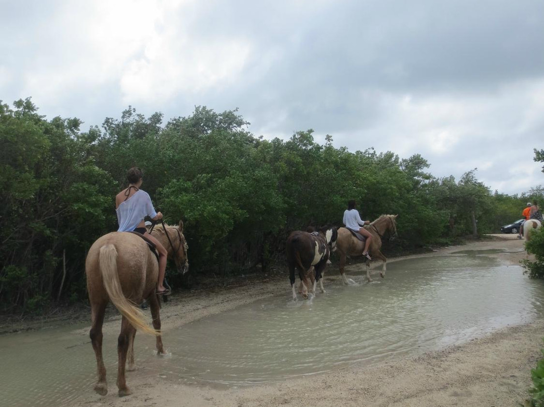 Barker's National Park-西湾必去景点