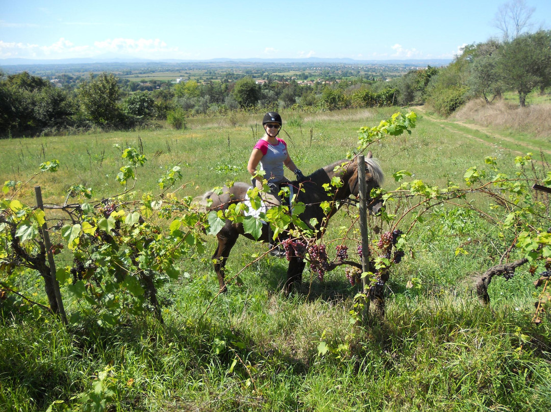 Agriturismo Il Frantoio-科尔托纳必去景点