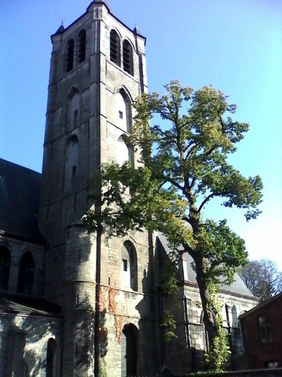 Church of Saint Nicolas景点图片