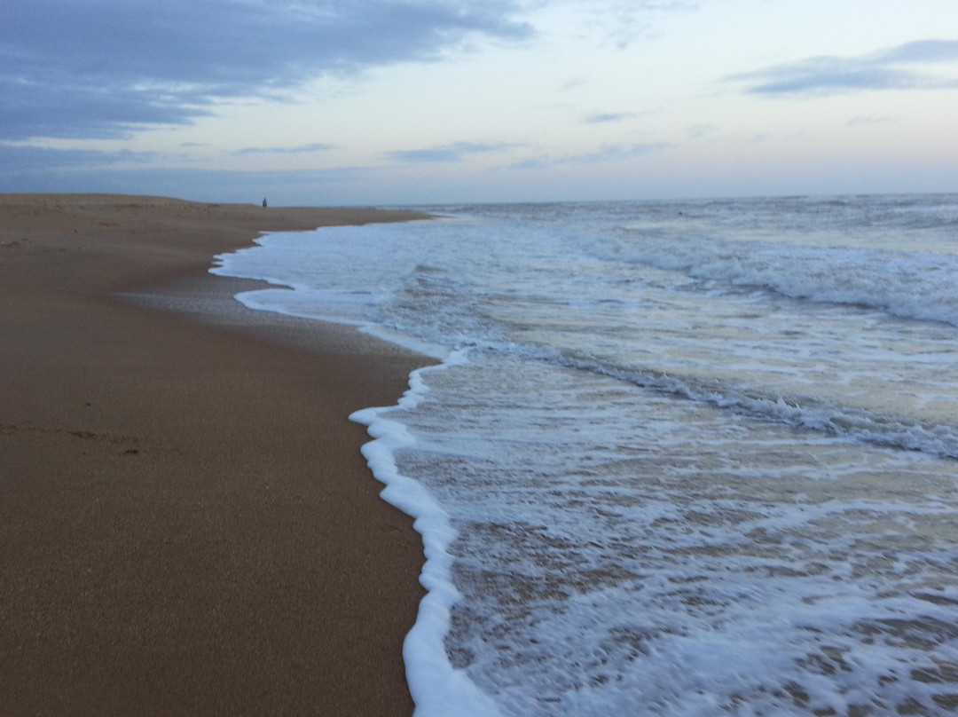 Baleia Beach景点图片