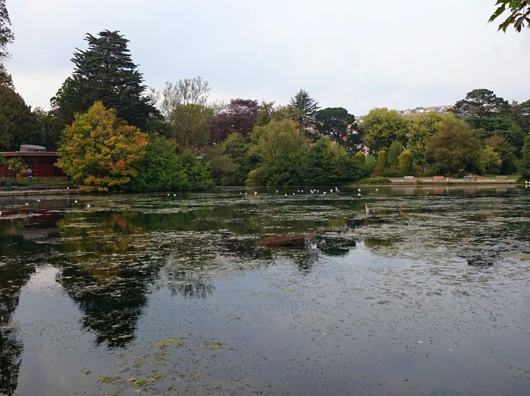 Brynmill Park景点图片