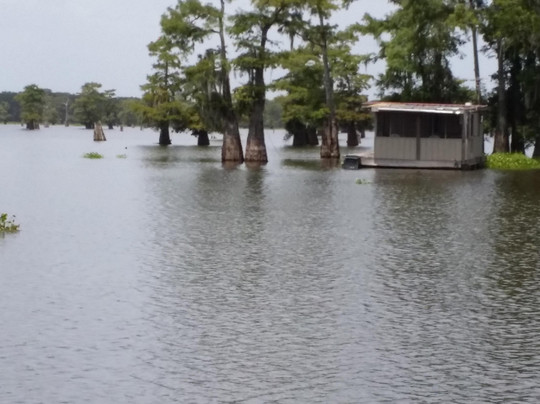 Mequet Swamp Tours-布里奥克斯桥必去景点