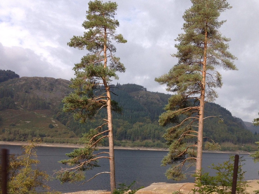 null-Thirlmere