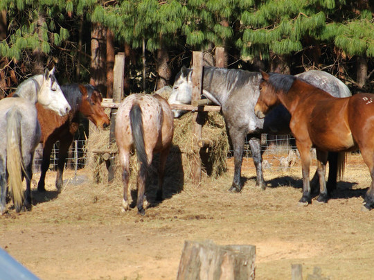 Boston旅游攻略图片