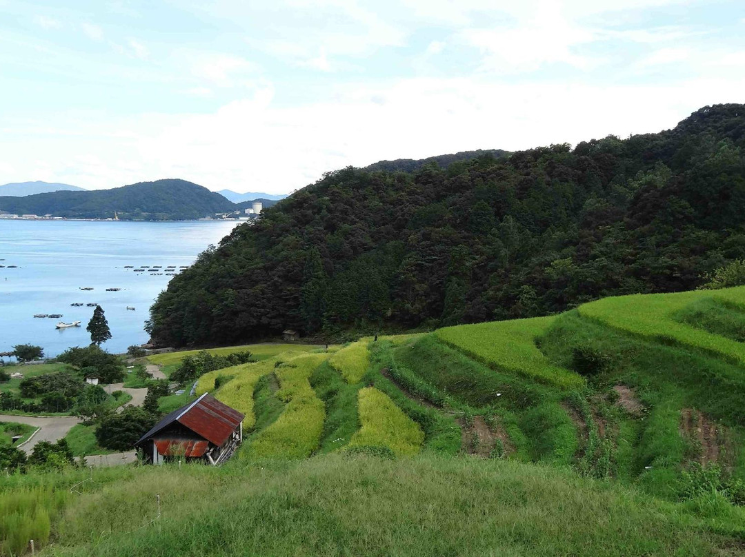 Hibiki Rice Terrace景点图片