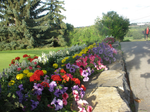 Calgary Elks Lodge & Golf Club-卡尔加里必去景点